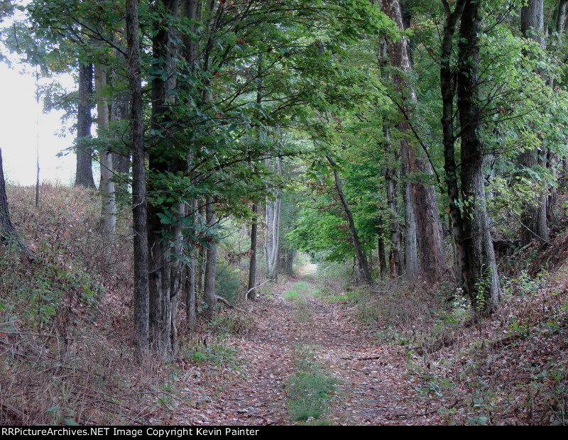 Ex-Lehigh Valley Pottsville Branch roadbed